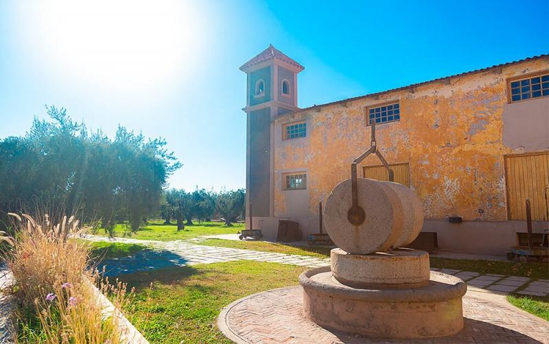 Old stone mill in front of the Olivícola Laur building, with an ochre façade, a tower and surrounding olive trees.