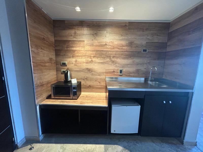 Kitchenette at Mod Hotel Mendoza with a microwave, an electric kettle, a mini fridge and a sink.