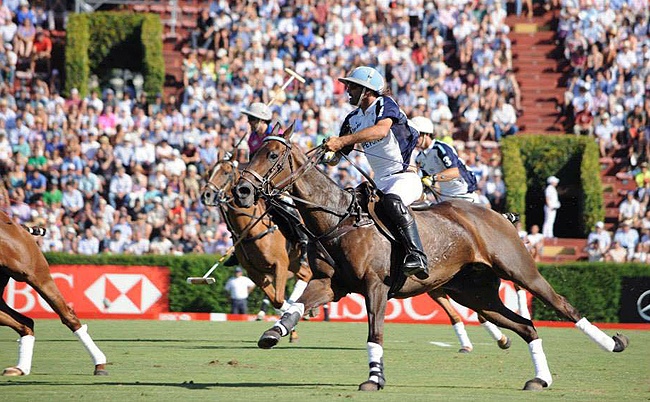 Polo in Buenos Aires.