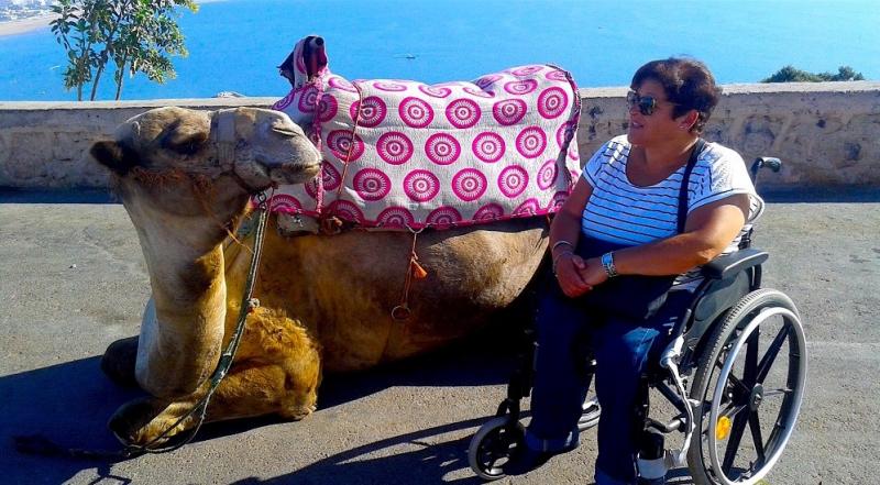 Camel Agadir